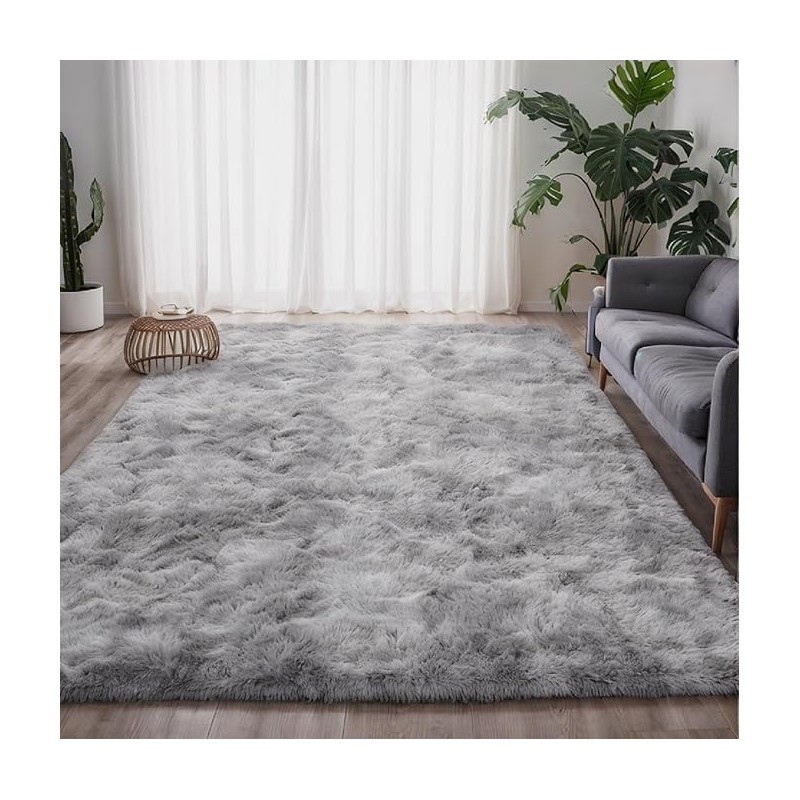 Tapis Salon