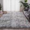 Tapis Salon
