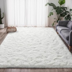 Tapis Salon
