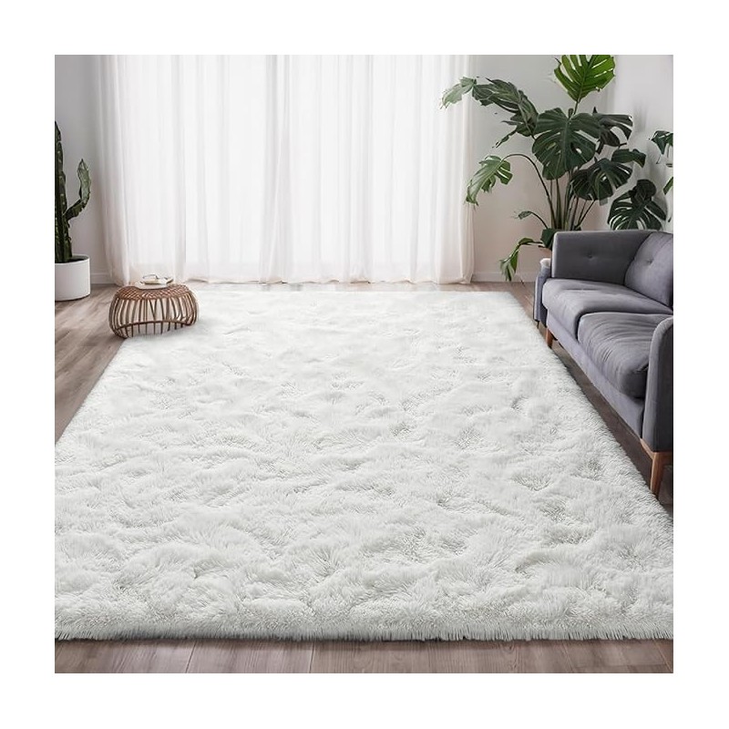 Tapis Salon