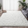 Tapis Salon